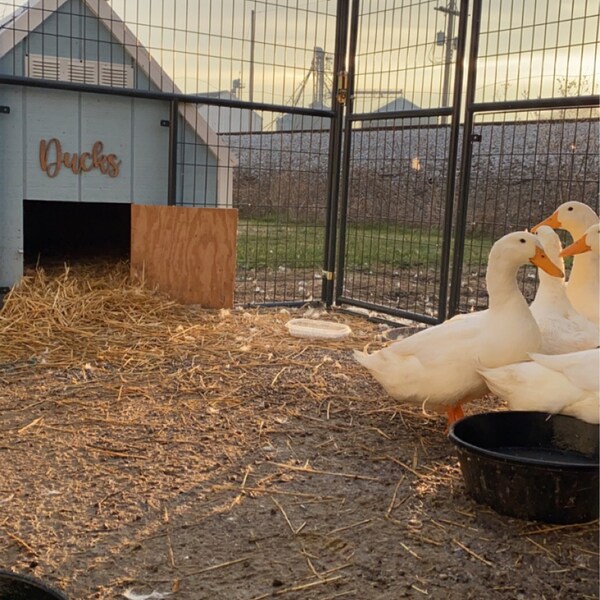 My Covenant Path Printable Poster for LDS Primary and Youth Instant