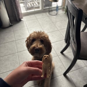 Amanda added a photo of their purchase