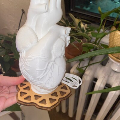 Human Heart 3D Printed Accent Lamp, Anatomical, Table Lamp, Novelty