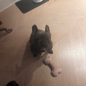 Ava added a photo of their purchase