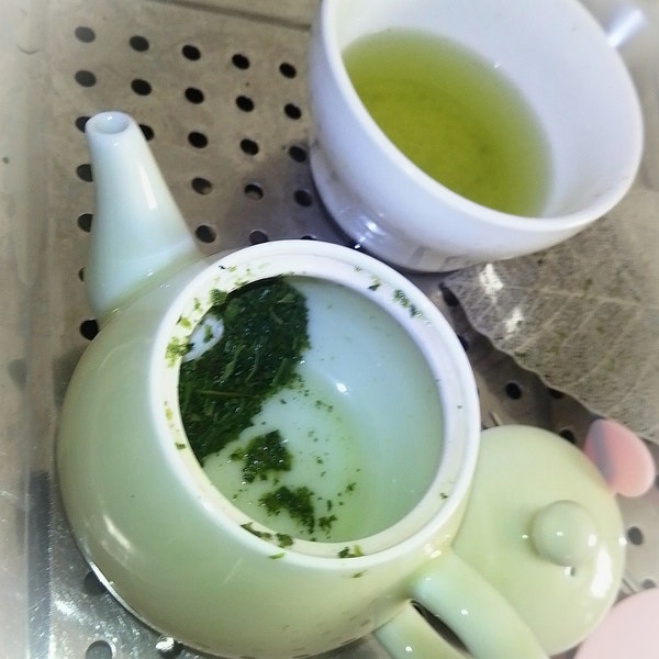 Matcha - Premium Japanese Powdered Green Tea - Etsy