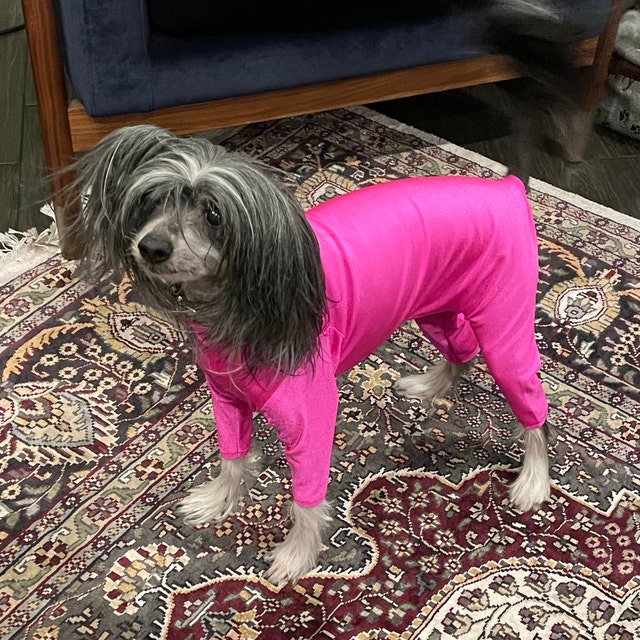 DoggieDirtShirt Etsy