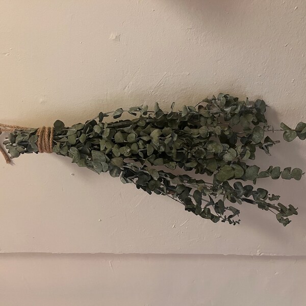 Fresh Eucalyptus Shower Bundle | Eucalyptus Plant | Fresh Eucalyptus ...