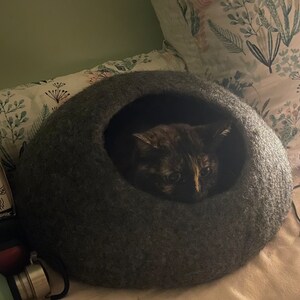 Kim added a photo of their purchase
