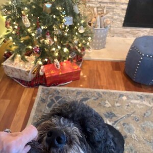 polly ha añadido una foto de su compra