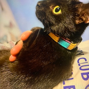 Kelly added a photo of their purchase