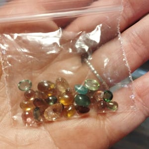 gina added a photo of their purchase