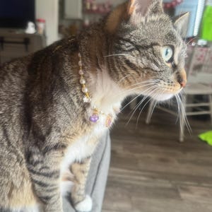 Melissa added a photo of their purchase