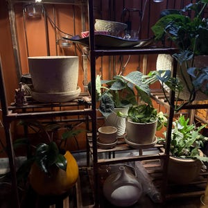 Etsy-koper heeft een foto van de aankoop toegevoegd