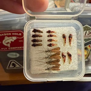 David added a photo of their purchase