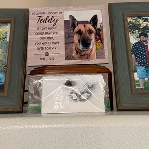Melisa added a photo of their purchase