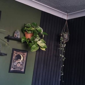Laura added a photo of their purchase