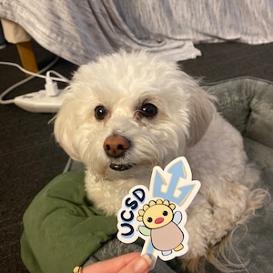 Truc added a photo of their purchase