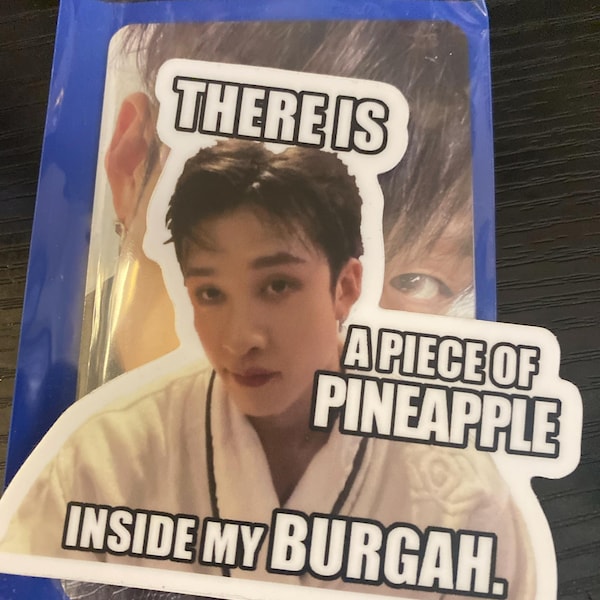 Stray Kids Bang Chan Meme Stickers - Etsy