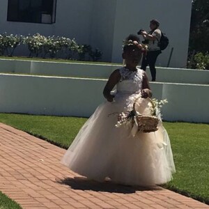 Miama Champagne Tulle & Ivory Lace Flower Girl Dress - Short Sleeves, Tea Length, Keyhole Back For Weddings & Special Occasions - View #13