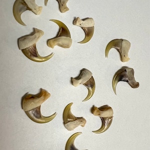 Mismel added a photo of their purchase