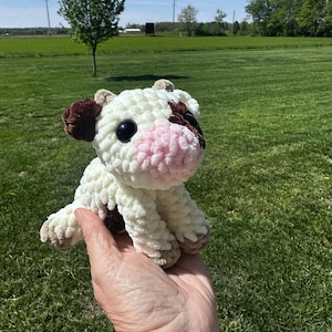 Carrie added a photo of their purchase