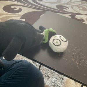 Nor added a photo of their purchase