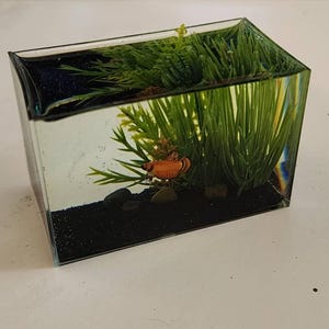 Anthony added a photo of their purchase