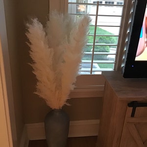 Amy added a photo of their purchase