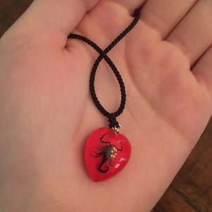 REALM added a photo of their purchase