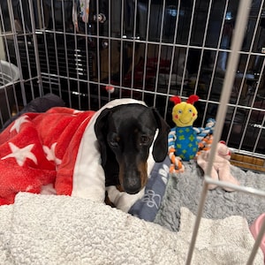 Elaine added a photo of their purchase