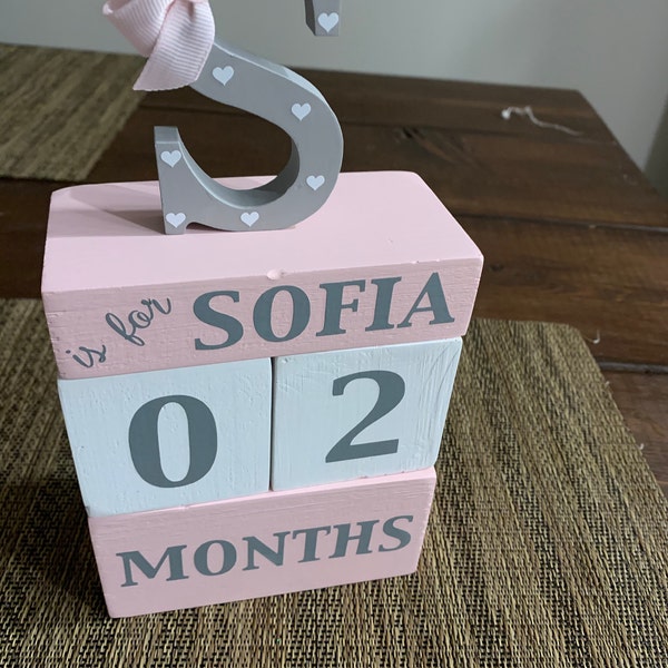 Age Blocks, Baby Age Blocks, Milestone Blocks, Baby Month Blocks, Baby ...