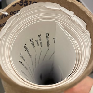 Pilates Anatomy Poster Set Etsy