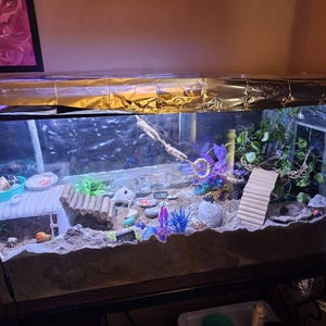 Miguelina added a photo of their purchase