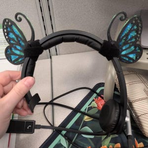 Laura added a photo of their purchase