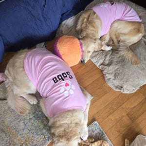 Nancy added a photo of their purchase