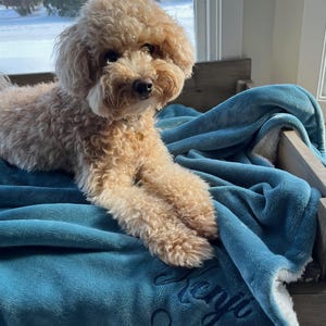 David added a photo of their purchase