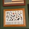 North Carolina Printable Backyard Birds of North Carolina Field Guide Print Bird Art Print ...