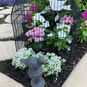 Susan added a photo of their purchase