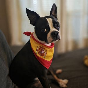 Comprador de Etsy ha añadido una foto de su compra