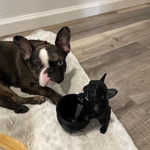 Cindy added a photo of their purchase