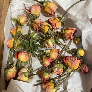 5pcs Dried Mini Roses, Dried Orange Roses, Tiny Dried Yellow Roses for  Crafts 