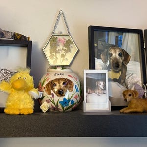 Catherine added a photo of their purchase