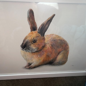 Ilse added a photo of their purchase