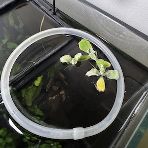 Ary heeft een foto van zijn/haar aankoop toegevoegd