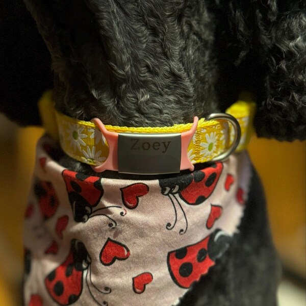 Pet Paw Leather Keychain – Refillable Memory Charm For Dog Or Cat Fur | Keepsake For Pet Lovers