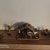 Vogelhaus Almhütte XXL Aus Lärchenholz - 42x43x35 Cm Großes Futtersilo Zum Aufhängen Oder Hinstellen