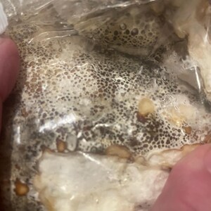 Comprador de Etsy ha añadido una foto de su compra