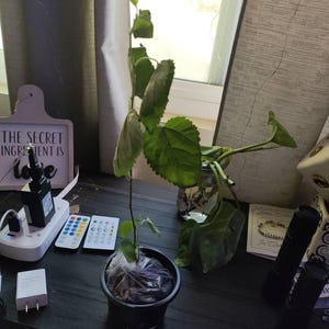 Veronica added a photo of their purchase
