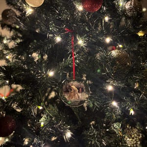 Lucia added a photo of their purchase