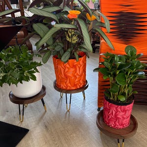 Joanie added a photo of their purchase