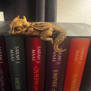 Lauren added a photo of their purchase