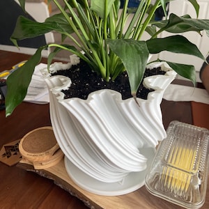 Sydney added a photo of their purchase