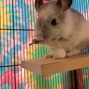 Tina a ajouté une photo de son achat