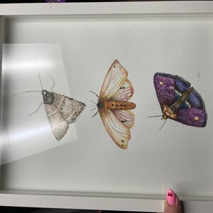 Savannah added a photo of their purchase
